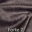 Forte 7