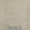 Forte 1