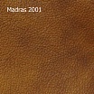 Madras 2001